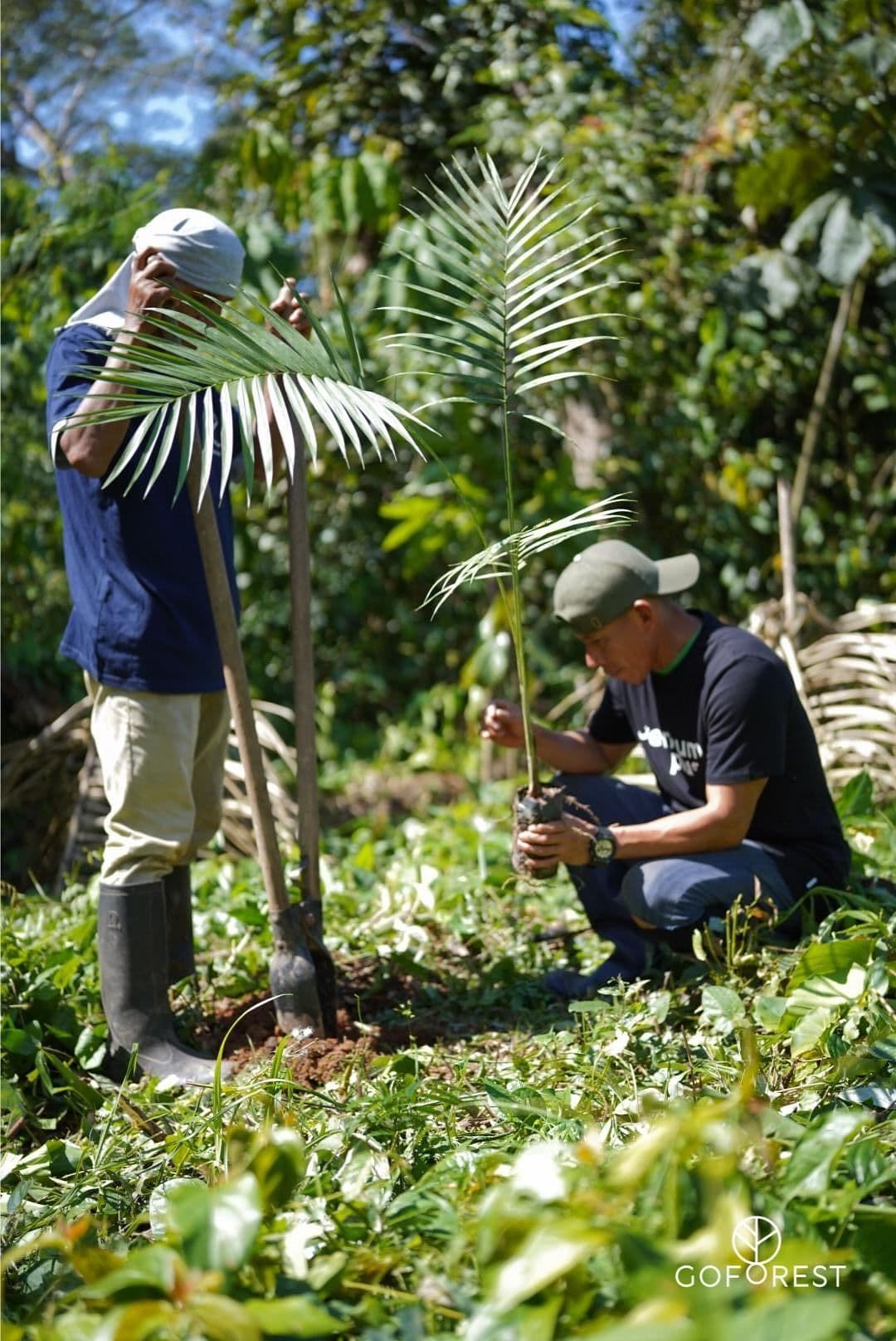 https://a.storyblok.com/f/237156/1080x1616/7b666f4c4e/agroforestry_peru_1.jpg